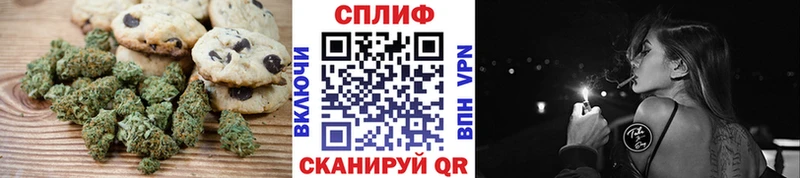 купить наркотики цена  это наркотические препараты  МЕГА ССЫЛКА  Cannafood марихуана  Ростов 