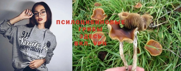 spice Волосово
