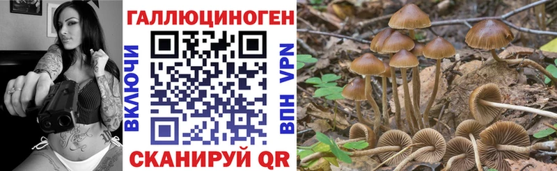 Псилоцибиновые грибы Psilocybine cubensis  маркетплейс телеграм  Ростов 